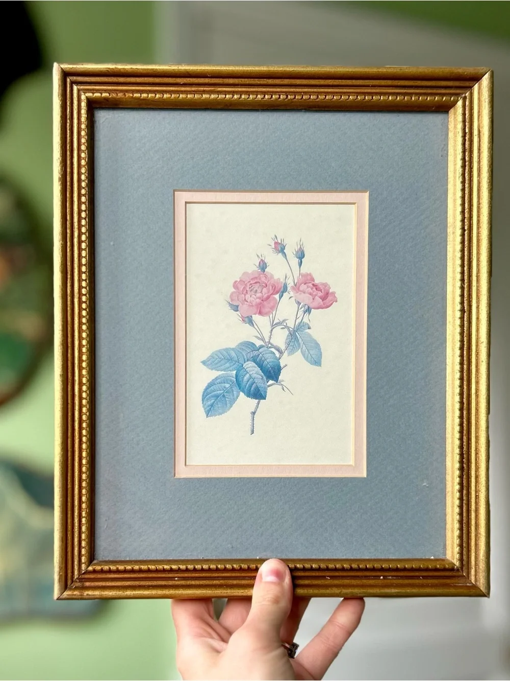 Vintage Botanical Framed Rose Florals + Buds Elegant Wall Decor Art